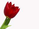 PICT0011 20